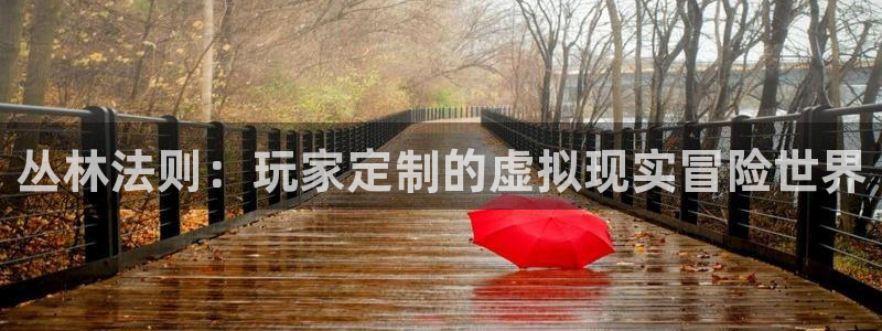 28大神结果查询：丛林法则：玩家定制的虚拟现实冒险世界