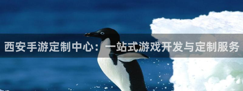 28大神免费预测：西安手游定制中心：一站式游戏开发与定制服务