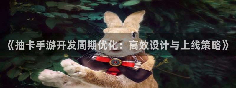 大神28杀：《抽卡手游开发周期优化：高效设计与上线策略》