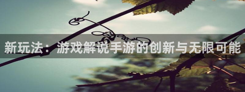 28大神预测：新玩法：游戏解说手游的创新与无限可能