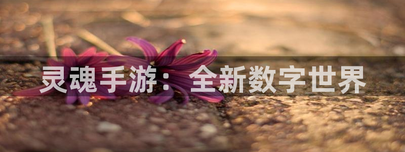 大神网pc28：灵魂手游：全新数字世界