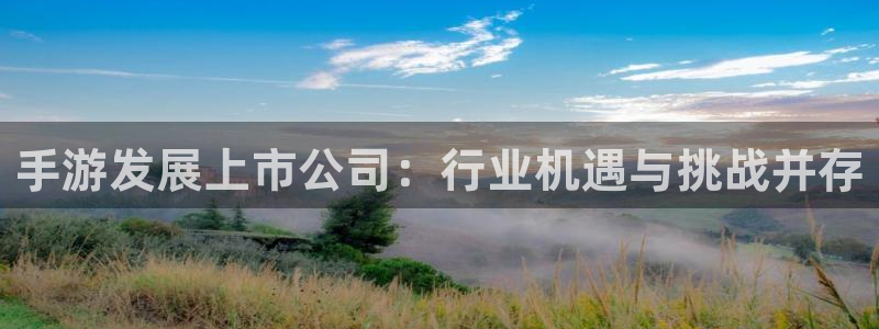 大神28分分预测：手游发展上市公司：行业机遇与挑战并存