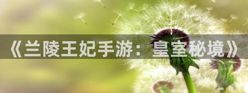 大神28开奖历史：《兰陵王妃手游：皇室秘境》