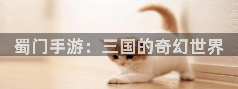 大神28ios下载：蜀门手游：三国的奇幻世界