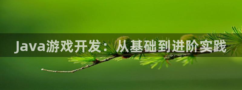 28大神软件不能用了：Java游戏开发：从基础到进阶实践