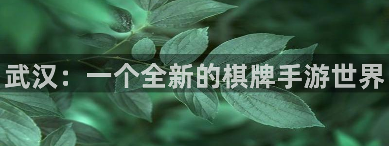 大神网pc28预测：武汉：一个全新的棋牌手游世界