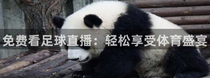 88看球直播app下载：免费看足球直播：轻松享受体育盛宴