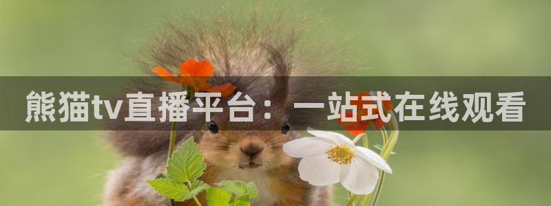 188看球直播：熊猫tv直播平台：一站式在线观看