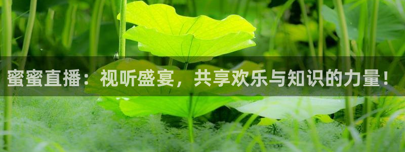 888看球nba直播免费