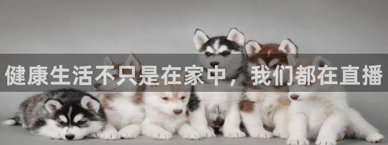 88看球nba直播官网