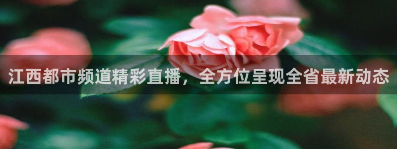 88看球吧直播