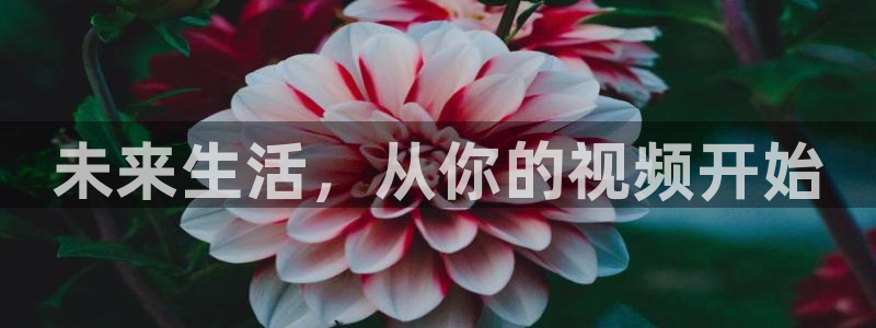 88看球直播app下载：未来生活，从你的视频开始