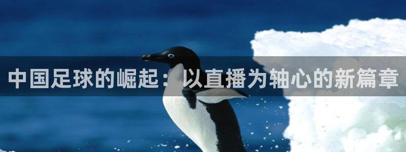 88看球英超直播：中国足球的崛起：以直播为轴心的新篇章