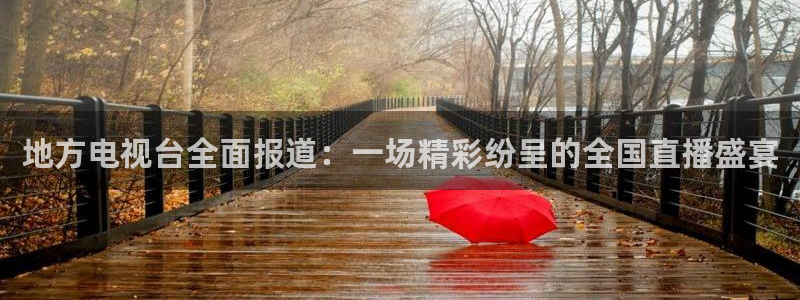 88看球直播app下载：地方电视台全面报道：一场精彩纷呈的全国直播盛宴